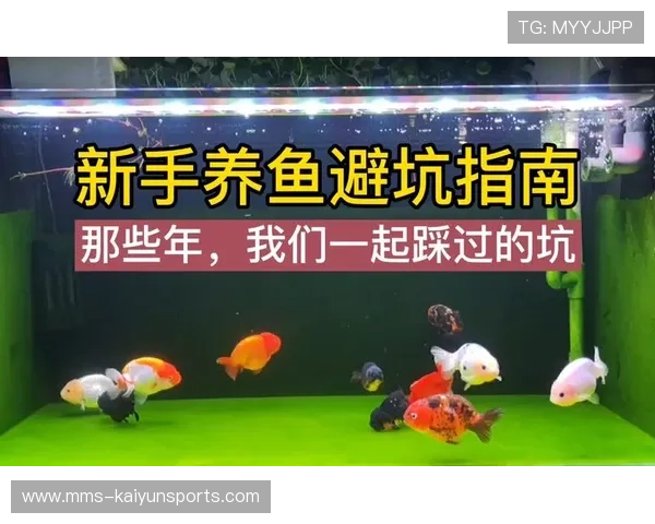 玩球新手入门教程大型赛事预热防骗避坑指南